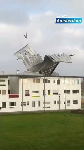 Februari 2022: Storm Eunice raast door Noord-Holland: bomen vallen, auto heeft geluk #shorts