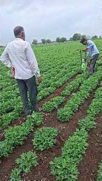 #farming #gujarati