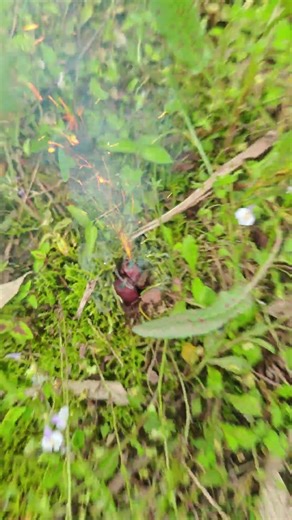 Putting 10 Firecrackers in a Small Hole... 💥