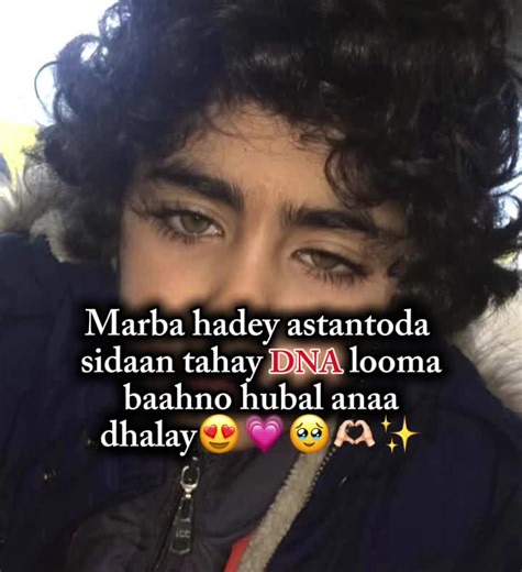 Understanding Genetic Diversity and Its Importance