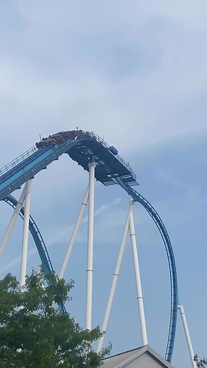 GateKeeper: where gravity takes a backseat. Upside down and loving every minute! #gatekeepers, #rollercoaster, #funtimes, #thrillseeker, #cedarpoint, #flightmode, #RollerCoasterRide Viral Velocity Rollercoasters, Hit that 👍 button on my page for more of my thrill contents! Thanks for your support! | Viral Velocity Rollercoasters
