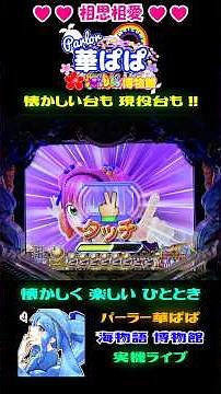 🌈プレミアム🌈✨小娘騎士団ホイホイ✨🍧ウリンチャンス🍧✌ピースアイコン✌🍑スーパー海物語 IN JAPAN with 桃太郎電鉄🍑🎗️パーラー華ぱぱ・海物語博物館🎗️ショート動画
