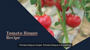 Tomato bisque recipe