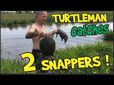 Turtleman : Snapper TwoFer