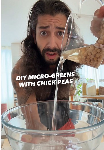 How to Grow Microgreens from Chickpeas | Easy DIY