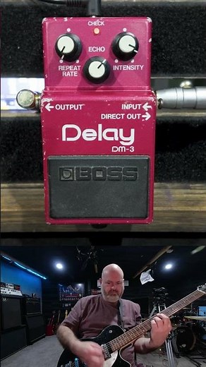 BOSS DM-3 Delay long repeats