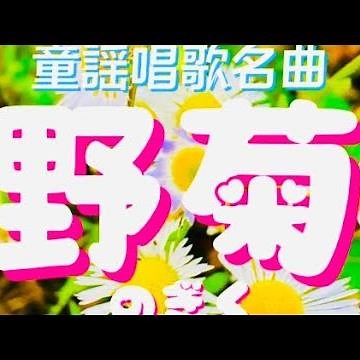 秋の童謡唱歌名曲❗️🌼【野菊♬のぎく】〈歌〉あおいさくら・Tetsuro-〈作詞〉石森延男〈作曲〉下総皖一「遠い山から吹いて来る小寒い風に~」JAPANESESONG『NOGIKU』童謡美学®︎