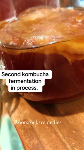 Excited to be processing the 2nd stage of homemade kombucha. I was worried that it may mold, but it didn’t. Is it 3 days already!!! #kombucha #homemadekombucha #kombuchalover #homesteadlife #homesteadtoktok