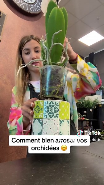 Les fleurs de charlotte sur TikTok