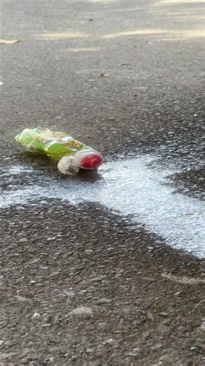 Floral Foam Crushing With Car | ASMR 🌸