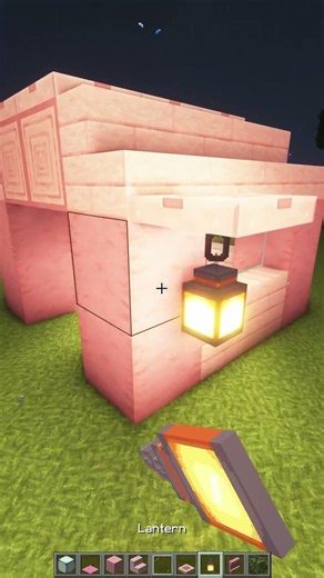 Minecraft House for my Dog 🥺