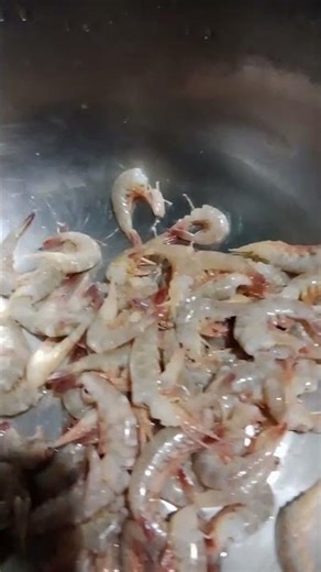 support kijiega 🙏