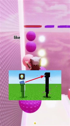 Enderman are Speaking Secret Language 😱👀