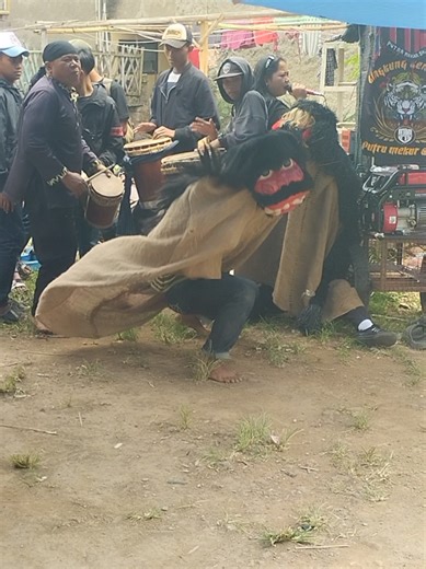 Putra Mekar Sajati: Seni Reak Barongan dan Dogdog