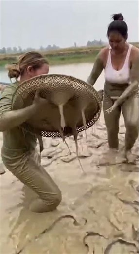 Extreme Mud Fishing by a Woman