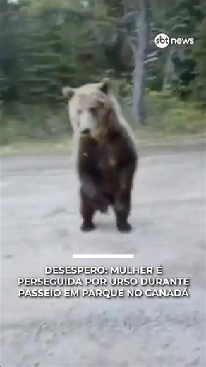 Mulher se desespera ao ser perseguida por urso durante passeio com cachorro | #PrimeiroImpacto