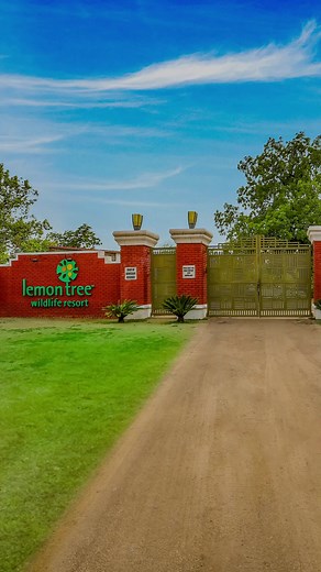Filled with vibrant green gardens and loads of activities to be a part of, Lemon Tree Wildlife Resort, Bandhavgarh is perfect for a fulfilling adventure. For reservations, please visit the link in the bio.#LemonTreeHotels #ThereForYou #RefreshinglyDifferent #Bandhavgarh #Reels #Resorts #WIldlifeResorts #IndianHotels | Lemon Tree Hotels