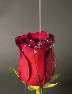 6.6M views · 10K reactions | Petal perfection – creative ways to craft with roses | 5-Minute Crafts Men | Facebook