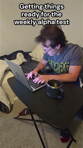Programming vs Alpha Testing