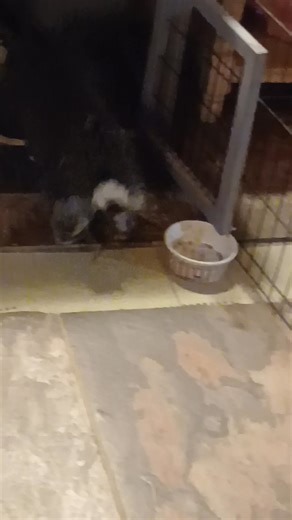 Michael Britt on Reels