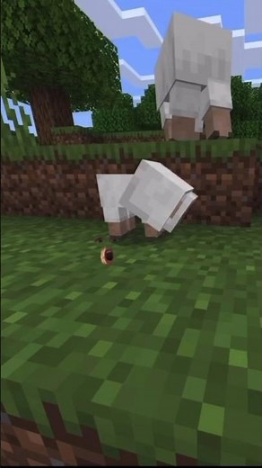 When a sheep eats grass on Minecraft. #minecraft #minecraftanimation #minecraftshorts