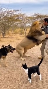 Future Home on Reels