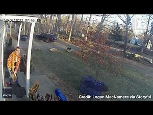 Mom Saves Little Girl from Raccoon Attack, Chucks It Across Yard
