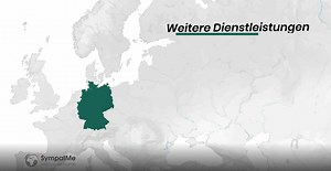 Fahrzeug abmelden | online Service