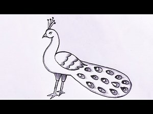 How To Draw Peacock Drawing Easy Very Simple Drawing