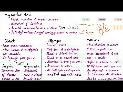 Polysaccharides | starch glycogen and cellulose | class 11