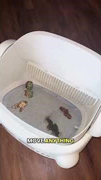 How To Use A Automatic Cat Litter Box