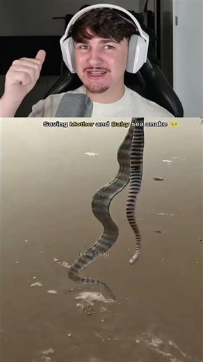 Would you shake my HAND? 😳