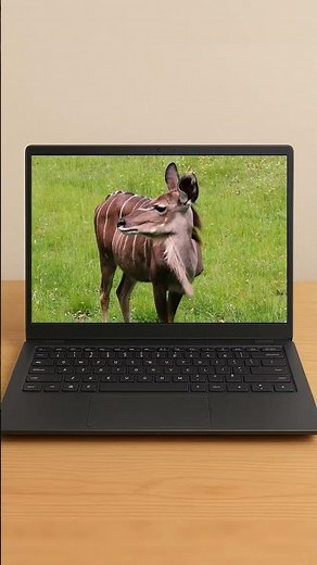 Best Video editing laptop under 50000 | shorts | video editing laptop