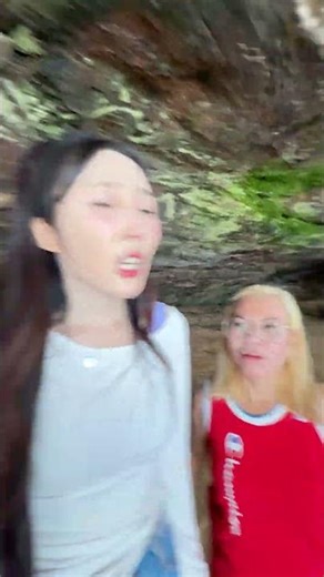 I'm stranded on an island.