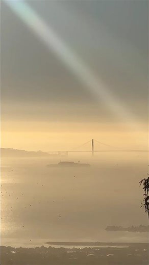 San FranciscoのGolden Gate Bridgeやビル群Berkeley側から見るととても幻想的だった