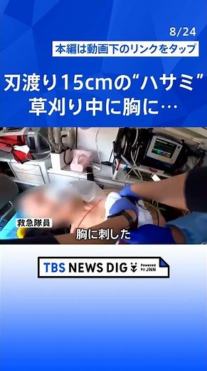 救命救急の“最前線”ドクターヘリに密着 その場の判断が患者の生死を左右する緊迫の現場を取材【それスタ】｜TBS NEWS DIG #shorts