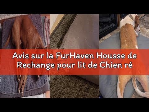 Avis sur la FurHaven Housse de Rechange pour lit de Chien résistante à l'eau pour intérieur/extérieu