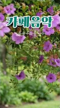 지친 마음을 비워내는 감성 팝 플레이리스트🌿 🌸 🌊 차 한 잔과 음악 한잔 휴식