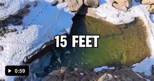 Nothing beats the freedom of free falling - Video