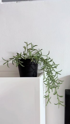 How to Make Reed Diffuser Oil: DIY Tutorial