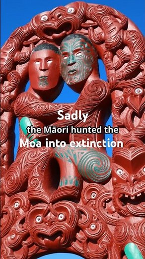 Moa Bird Expert Reveals New Zealand's Hidden Giant Secrets!