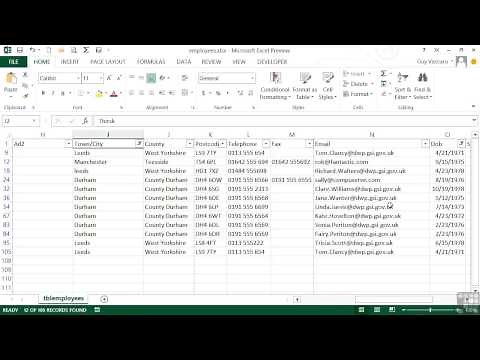 Microsoft Excel 2013 Tutorial | Filtering Data To Reduce Dataset Size