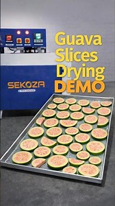 Guava Slice Drying Demo Using Sekoza Dryer Machine