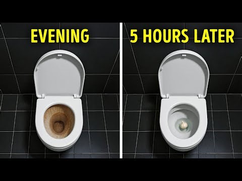 Surprising Tips You’ll Wonder How You Lived Without
