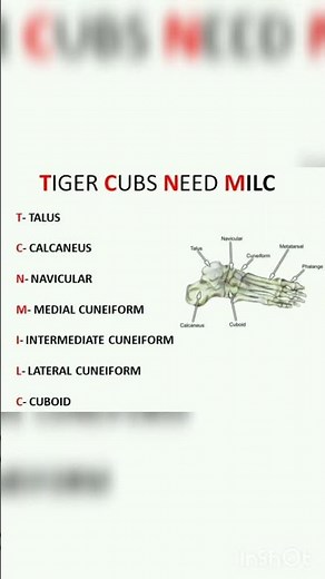 MNEMONIC- TARSAL BONES- Easy way to Remember