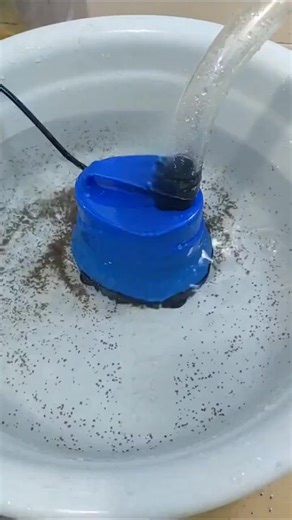 Choosing the Best Fish Tank Pump: Top Recommendations