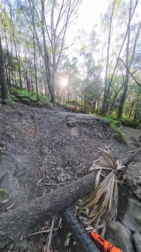 B Line Tree Obstacle: MTB Crash Compilation