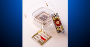 PIX Now Afternoon Edition 11-2-2023