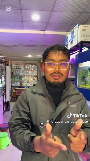 Exploring Different Types of Fish for Freshwater Aquariums