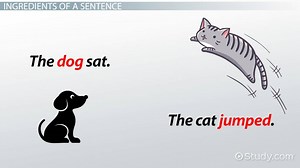 How to Start & Write a Sentence - Video | Study.com